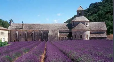 地中海幻想曲号