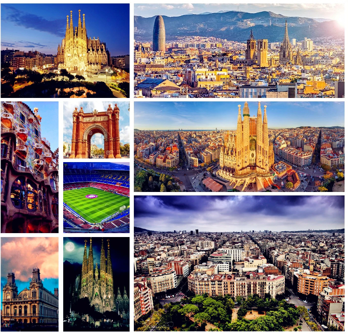 地中海幻想曲号 地中海幻想曲号