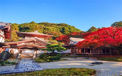 海洋光谱号福冈景色