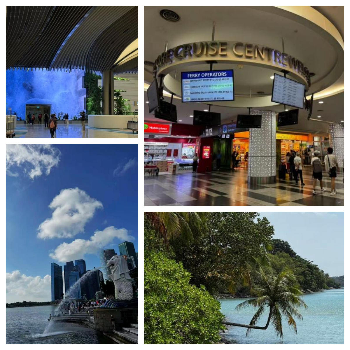 领航星号第一天记录