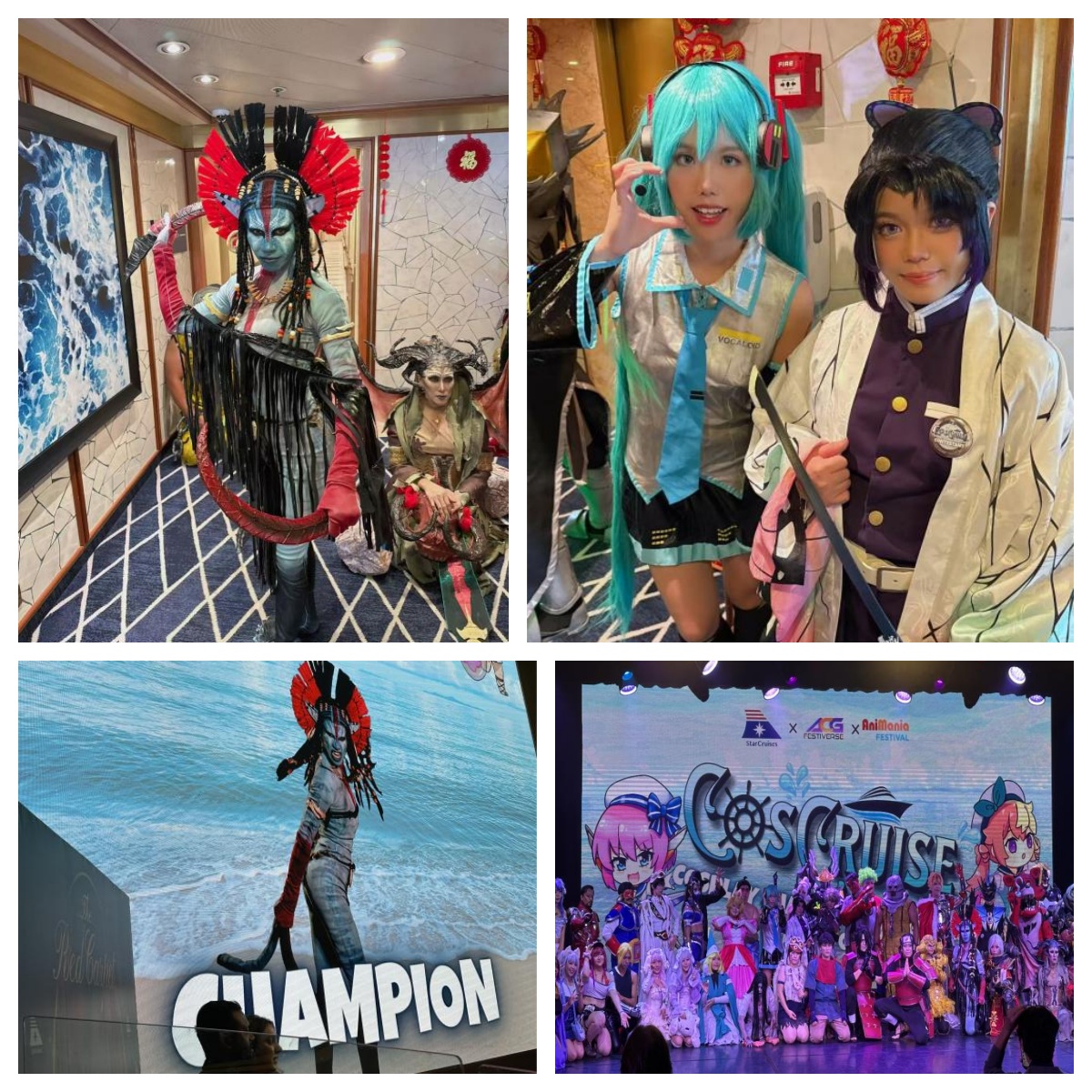 领航星号coser合影