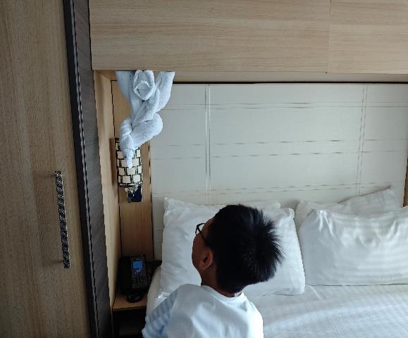 海洋赞礼号动物毛巾