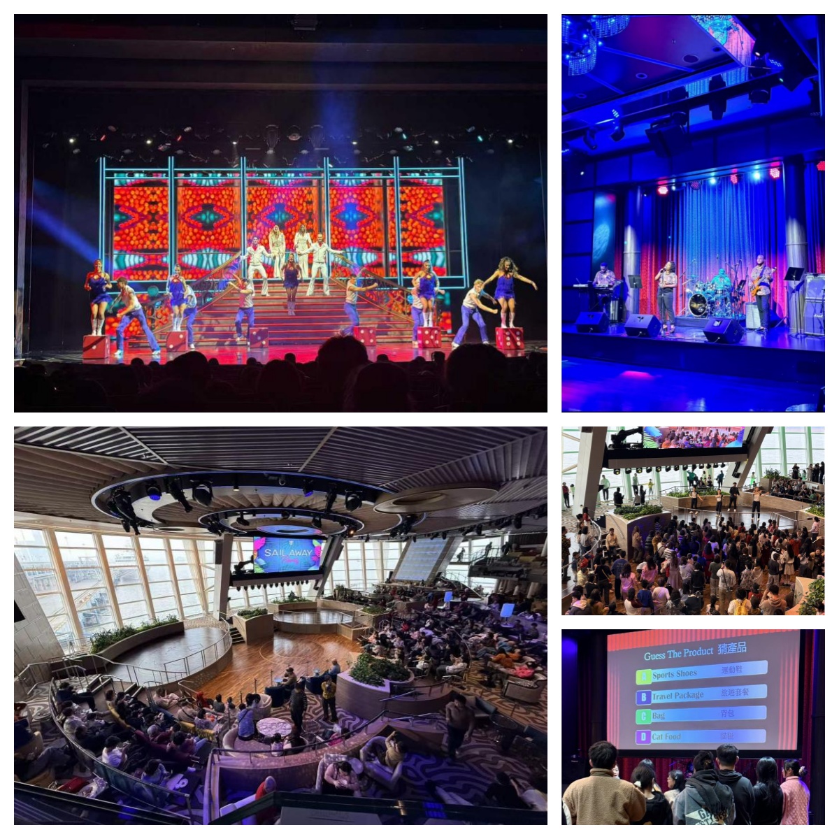 海洋光谱号活动