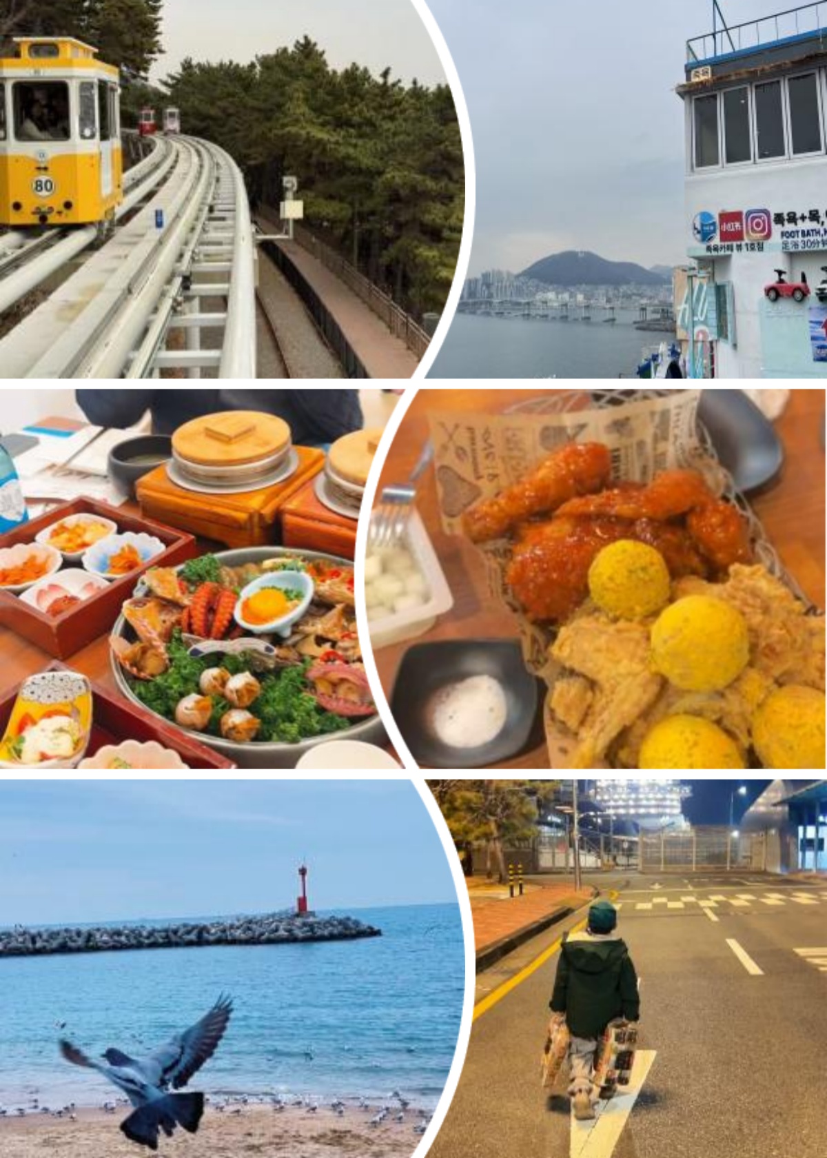 爱达魔都号岸上游