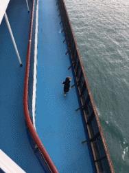 爱达地中海号甲板