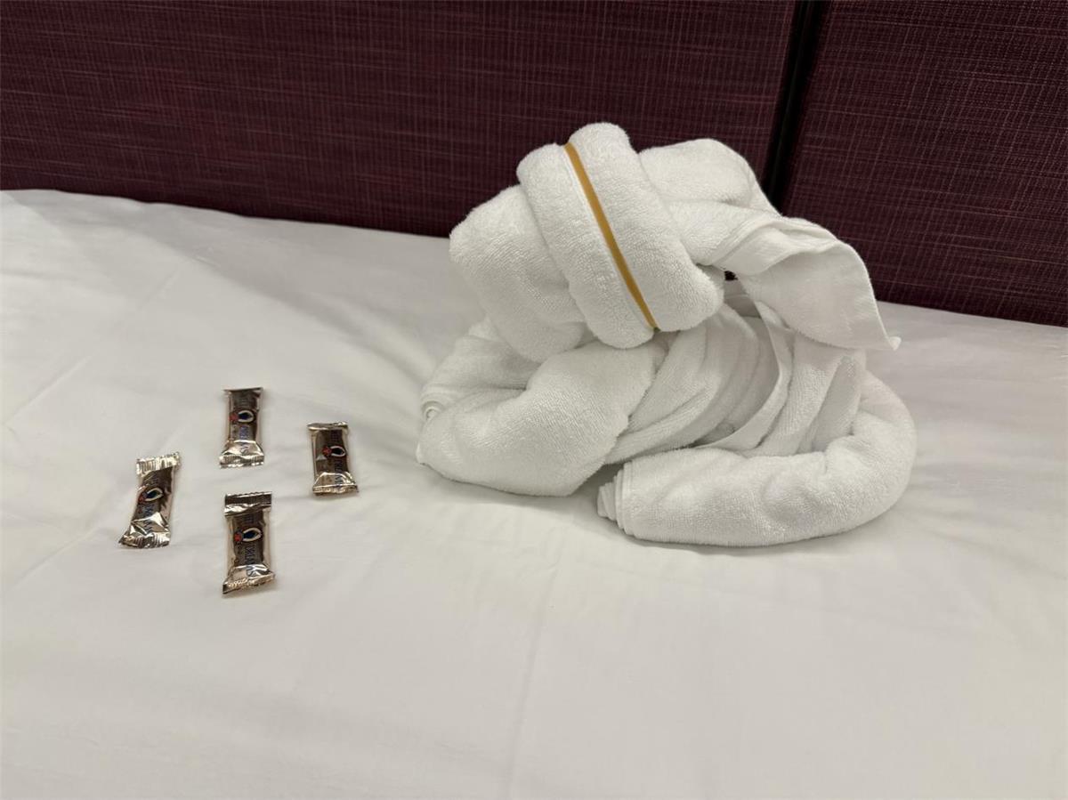 迪士尼探险号动物毛巾