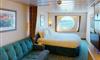 海洋水手号邮轮超大海景房图片