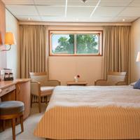 交响乐号邮轮▪主甲板标准间介绍