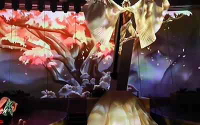 海洋光谱号邮轮海上演出