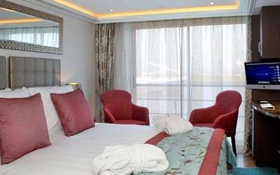 雷纳号法式露台房C图片