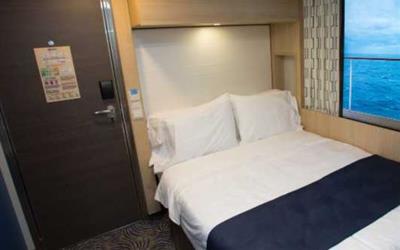 海洋量子号单人内舱房图片