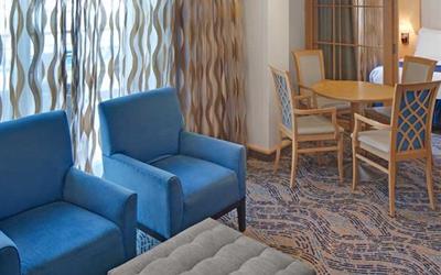 海洋航行者号双卧室豪华套房图片