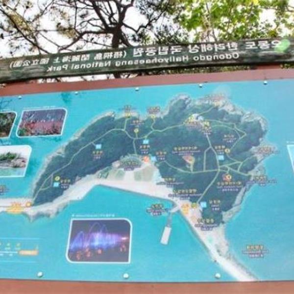 【丽水】邮轮岸上游梧桐岛+山茶花列车+突山公园+海上缆车+丽水传统市场+李舜臣广场+镇南馆