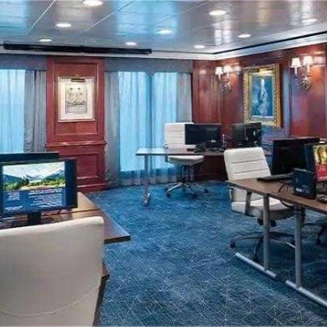 宪章号邮轮网络中心图片